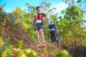 BIB: 2289
                            <button type="button" onclick="openModal(21840104)" class="btn btn-primary btn-sm float-right btn-popup" data-toggle="modal" data-target=".modal-high-quality">
                        <i class="fas fa-shopping-cart"></i> Add to Cart
                    </button>
                                            <button type="button" onclick="isThisMe(21840104, true)" class="btn btn-success btn-sm float-right btn-popup btn-isme hidden" data-toggle="tooltip" data-placement="bottom" title="นี่คือรูปของคุณใช่ไหม คลิกที่นี่เพื่อเอาเข้าอัลบั้ม">
                        <i class="fas fa-plus"></i> Add to album
                    </button>
                    <button type="button" onclick="isThisMe(21840104, false)" class="btn btn-warning btn-sm float-right btn-popup btn-isnotme hidden">
                        <i class="fas fa-ban"></i> Remove from album
                    </button>